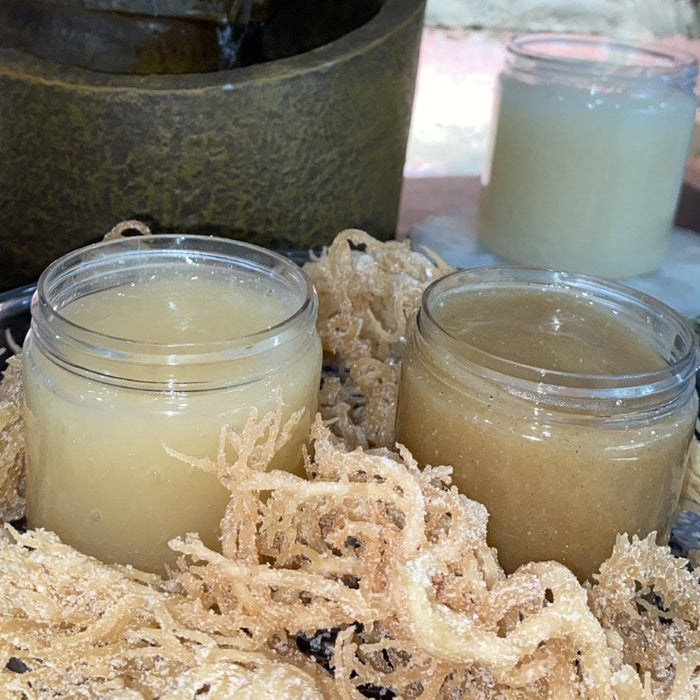 Sea Moss Gel